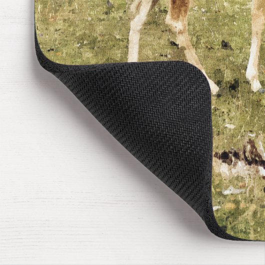 DEER MUISMAT (Hoek)