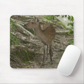 Deer Muismat (Met muis)