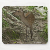 Deer Muismat (Voorkant)