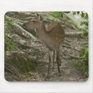 Deer Muismat