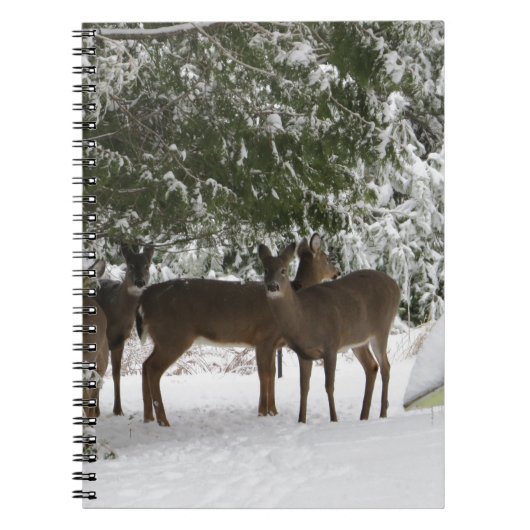 Deer Notitieboek (Voorkant)