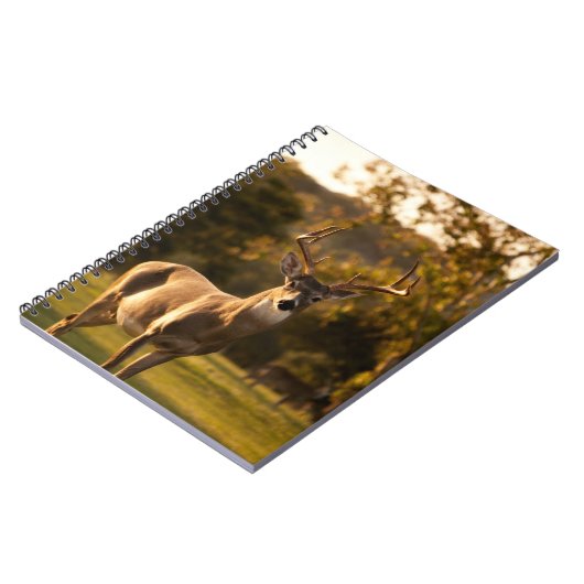 Deer Notitieboek / Journal (Linkerzijde)