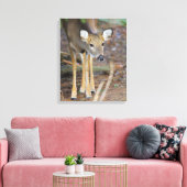 Deer, Ohio Canvas Afdruk (Insitu (Woonkamer))