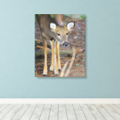 Deer, Ohio Canvas Afdruk (Insitu (Houten vloer))