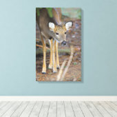 Deer, Ohio Canvas Afdruk (Insitu (Houten vloer))