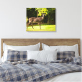 Deer on Golf Course Canvas Afdruk (Insitu (Slaapkamer))