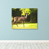 Deer on Golf Course Canvas Afdruk (Insitu (Houten vloer))