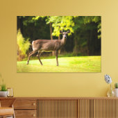 Deer on Golf Course Canvas Afdruk (Insitu (Woonkamer))