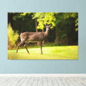 Deer on Golf Course Canvas Afdruk (Insitu (Houten vloer))