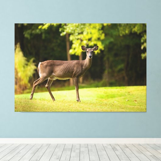 Deer on Golf Course Canvas Afdruk (Insitu (Houten vloer))