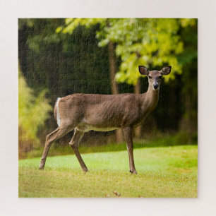 Deer on Golf Course Legpuzzel