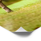 Deer on Golf Course Perfect Poster (Hoek)