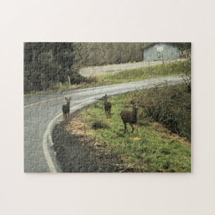 Deer on Road, Cape teleurstelling, WA Legpuzzel