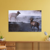 Deer on Rock Formation Canvas Afdruk (Insitu (Woonkamer))