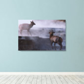 Deer on Rock Formation Canvas Afdruk (Insitu (Houten vloer))