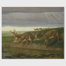 Deer on the Prairie (door William Holbrook Beard) Cadeaupapier