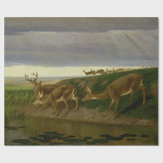 Deer on the Prairie (door William Holbrook Beard) Cadeaupapier (Vlak)