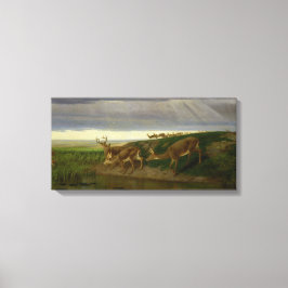 Deer on the Prairie (door William Holbrook Beard) Canvas Afdruk