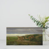 Deer on the Prairie (door William Holbrook Beard) Kaart (Staand voorkant)