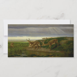 Deer on the Prairie (door William Holbrook Beard) Kaart