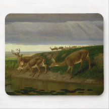 Deer on the Prairie (door William Holbrook Beard)