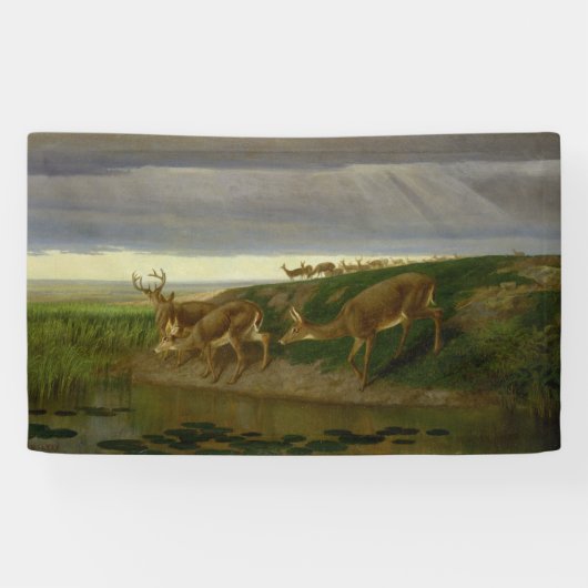 Deer on the Prairie (door William Holbrook Beard) Spandoek (Horizontaal)