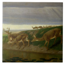 Deer on the Prairie (door William Holbrook Beard)