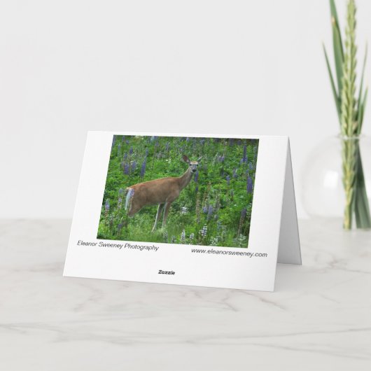 Deer onder de lupinen kaart (Achterkant)