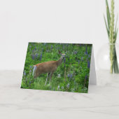 Deer onder de lupinen kaart (Voorkant)