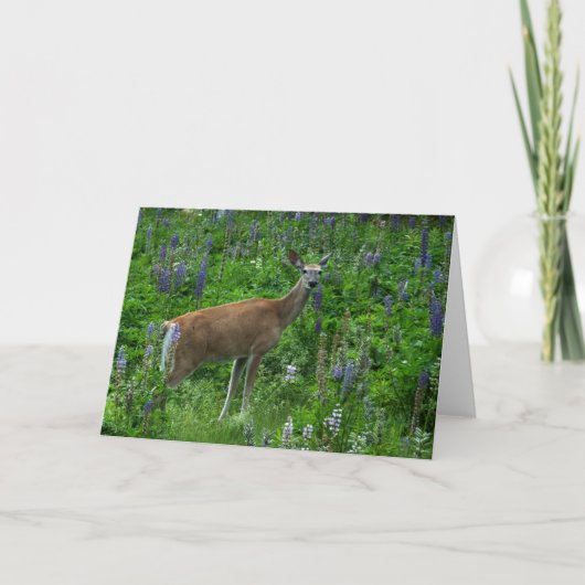 Deer onder de lupinen kaart (Voorkant)