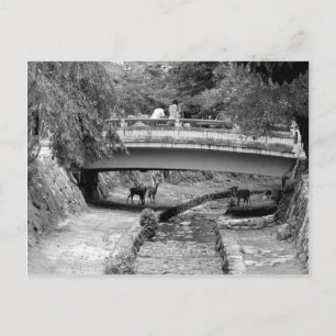 Deer onder een Japanse brug Briefkaart