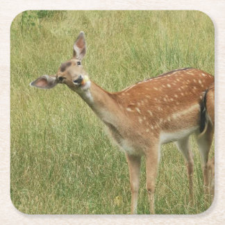 Deer Onderzetter