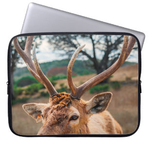 DEER OP BROWN GRASS-GEBIED ONDER GRAY CLOUDY SKY LAPTOP SLEEVE
