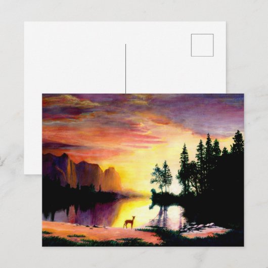 Deer op Dawn Photo Print Briefkaart (Voorkant / Achterkant)