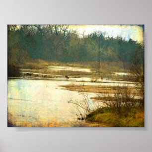 Deer op de Platte rivier nabij Kearney, Nebraska Poster
