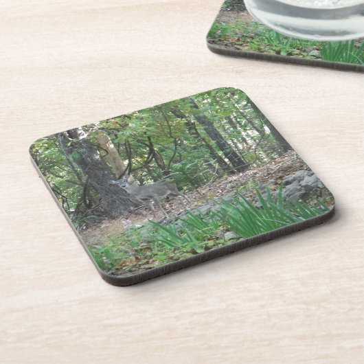 Deer op de rand van de Bossen Onderzetter (Linkerzijde)