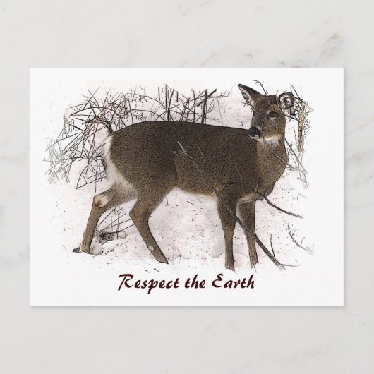 Deer op Snow Earth Day Briefkaart (Voorkant)