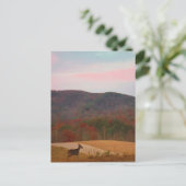 Deer op zonsondergang golfbaan briefkaart (Staand voorkant)