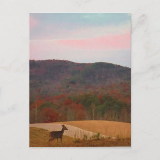 Deer op zonsondergang golfbaan briefkaart