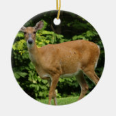 Deer Ornament (Voorkant)
