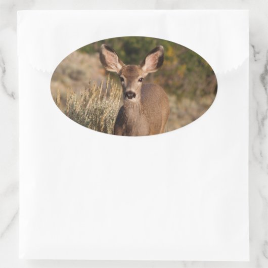 Deer Oval Sticker (Tas)