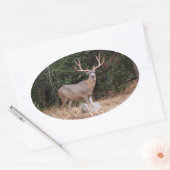 Deer Oval Sticker (Envelop)