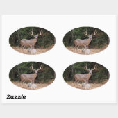 Deer Oval Sticker (Vel)