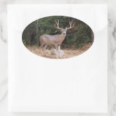 Deer Oval Sticker (Tas)