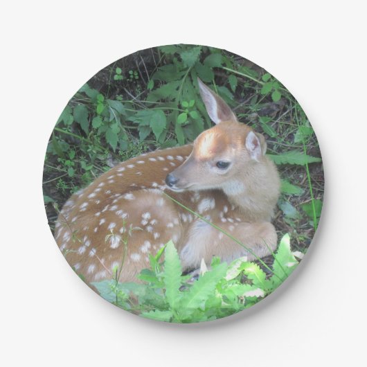 Deer Paper-Bord Papieren Bordje (Voorkant)