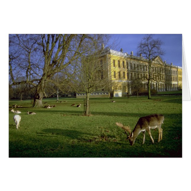 Deer park, Magdalen College, Oxford, Verenigd Koni (Voorkant Horizontaal)
