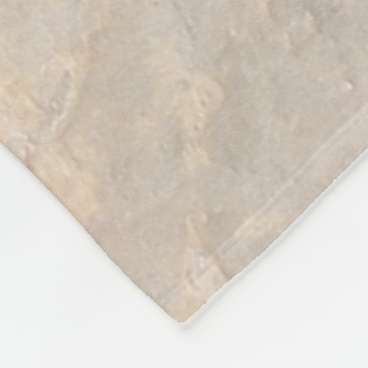 Deer Petroglyph Rinconada Canyon NM Fleece Deken (Hoek)