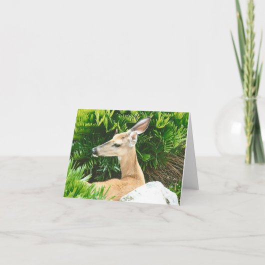 Deer Photo Folded Note Kaart (Voorkant)