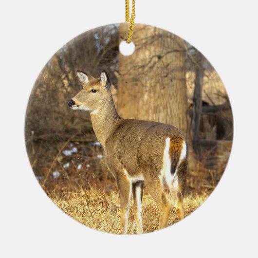Deer Photo Ornament  (Voorkant)