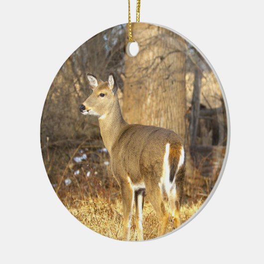 Deer Photo Ornament (Links)